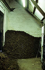 Bowmore peat stock&nbsp;uploaded by&nbsp;Ben, 07. Feb 2106