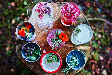 The Botanist Gin Cocktails&nbsp;uploaded by&nbsp;Ben, 07. Feb 2106